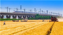 聚焦杰克逊霍尔：鲍威尔最后一讲开启宽松之门 华尔街群情激昂 各国央行行长回应