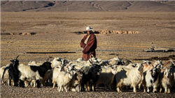 浙江富豪“分家产”！80后儿子楼城、女儿楼静静将获赠34亿元股票