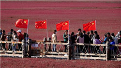 上海土拍火热：徐汇宅地单价刷全国新高，外环土地溢价40%