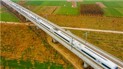 美国债市：国债小幅上涨 收益率曲线陡化