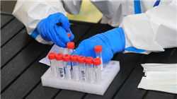 孙正义回应清仓英伟达：为了投AI，我是哭着卖的