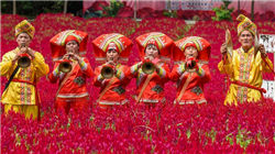 斯洛伐克总理菲佐：若欧盟对俄制裁损害国家利益 将行使否决权