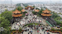 “参政”惹祸？马斯克站队特朗普后，特斯拉品牌忠诚度大幅下滑