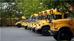 称项目兜底补偿款被拖欠，金达莱子公司向地方政府索赔超4000万元