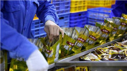 SharkNinja进驻沃尔玛门店以提升假日季市场覆盖