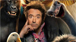 旗下专户再“踩雷”，西部利得基金被执行2.91亿元，发生了什么？