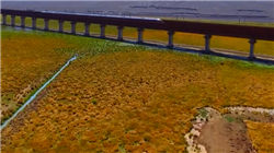 加强风险联防联控 收单外包服务机构迎新规