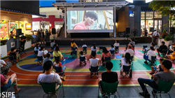 周一热门中概股多数下跌 网易涨1.45%，台积电跌0.91%