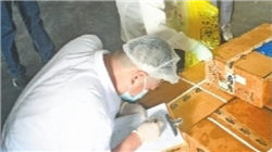 财政部和税务总局发布公告：对国债等债券利息收入恢复征收增值税