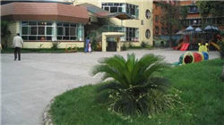 江沁园：从封闭车场到城市路侧，阳光海天重构停车服务生态｜2025不动产资管峰会