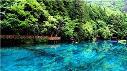 机构调研热度维持高位 具身智能企业受关注