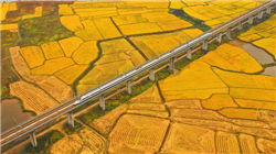 港股黄金股普跌 赤峰黄金跌超5% 现货黄金跌破3370美元