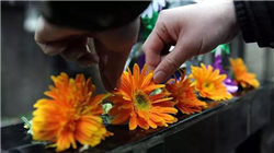 爆火的Lovable：AI建站工具，8个月达到1亿美元ARR，速度之快超过了Cursor