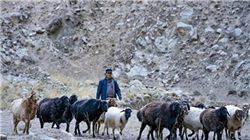 博主称上海快餐四菜一汤173元，商家：地处旅游商圈，明码标价icon_voice_onicon_voice