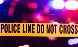 王兴兴回应硕士论文上热搜