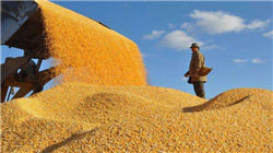 王广西一人被立案！牵出海德股份、海伦哲、永泰能源三家A股公司