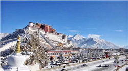 赛乐仙资本围追医药股