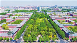 56个外商投资项目签约，外资为何扎堆加码上海？