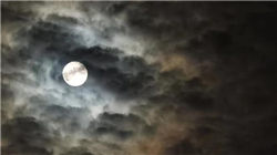 体外诊断公司财务总监PK：50岁以上CFO占比为34% 硕世生物孟元元为最年轻CFO