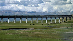 大转向！外资，爆买！