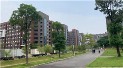 秋乐种业回复年报问询函：玉米收入下滑致业绩承压，已暂缓生物育种研发项目大楼土建工程