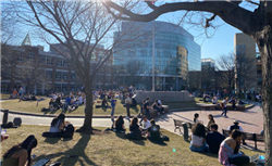 美国众议院议长称“爱泼斯坦相关文件无任何隐瞒”