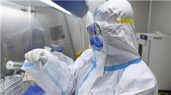 康鹏科技：一场被资本催熟的国产化泡沫破裂实录