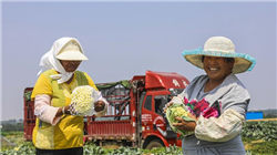 A股科技并购同比激增287%，中外金融机构如何看中国并购市场机遇？