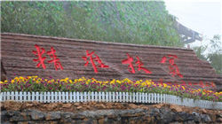 银行理财存续规模创新高 固收产品成增长“主力军”