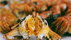 周三热门中概股多数上涨 台积电涨2.44%，蔚来跌2.00%